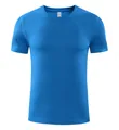 T-shirt de sport bleu vif à séchage rapide et respirant avec col rond pour hommes actifs - S / Hauts / Bleu lac