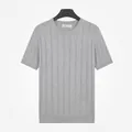 Classic men's vertical striped crew neck short sleeve knit shirt in elegant grey - Gray
