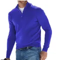 Premium royal blue men's quarter-zip long sleeve knit polo sweater for autumn style - Blue