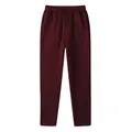 Detail view of burgundy fleece-lined men's slim fit sports joggers with adjustable drawstring - S / Bottoms / Burgundy