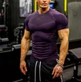 Professional purple compression fitness t-shirt for men, high elasticity gym wear - S / Tops / Plain Purple