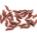 Realistic soft plastic centipede prank toy for April Fools Day and spooky parties - Realistic Centipede
