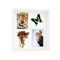 White 3D shadow box frame for DIY dried flowers and specimens display in 3cm depth - 3cm Hollow / 4x6 Inches-(10.1*15.2cm) / White