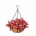 Artificial daisy flowers in coconut fiber hanging basket with iron frame for balcony - Pink Mix Style