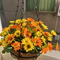 Artificial daisy hanging basket with coconut fiber liner and iron chain for outdoor decor - Chamomile Yellow Style