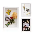 Deep white shadow box frame for displaying dried flowers and shell collections - White (5cm Hollow) / 4x6 inches (10.1x15.2cm)