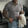 Graues Herren Polohemd mit Rippenstrick und V-Ausschnitt für Fitness und Freizeit - S / Oberteile / Hellgrau
