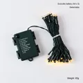 Warm white LED Christmas string lights with 8-mode battery control box - 5m 50-LED Battery Box Light String (Timer/Waterproof/Dark Green Wire)