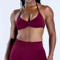 Premium seamless burgundy yoga set including sports bra and high-waisted leggings for gym - Winter Berry