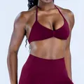 Women's burgundy seamless halter sports bra made of high elastic matte nylon fabric - Winter Berry