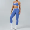 Blue color-block two-piece yoga set with backless sports bra and high-waist leggings - XS / Top And Bottom / Provence Blue (Camisole Bra + Trousers)