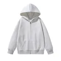 Heavyweight 460g pure cotton zip-up hoodie in heather grey, minimalist front view style. - S / Tops / Mixed Grey