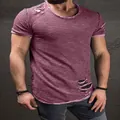 Close-up view of men's distressed short sleeve T-shirt featuring ripped hole details. - Grape Purple