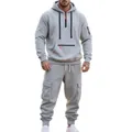 Grey men's casual tracksuit set featuring half-zip hoodie and multi-pocket cargo joggers. - M / Top And Bottom / Light Gray