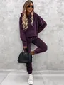 Vollständige Ansicht eines lässigen violetten Damen-Trainingsanzugs mit Kapuze und Hose - Lila