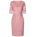 Detailed view of pink lace patchwork dress featuring elegant floral embroidery and mesh sleeves - Pink