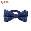 Nœud papillon élégant en jacquard paisley bleu pour costumes d'hommes et mariages - Bleu Paisley Jacquard (LJ-F26)
