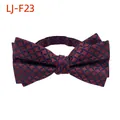 Nœud papillon bordeaux élégant avec motif géométrique bleu pour costume de mariage - Rouge Foncé Bleu Grille (LJ-F23)