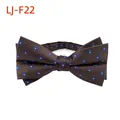 Nœud papillon élégant marron pour homme avec motif de broderie florale bleue mariage - Café Bleu Floral (LJ-F22)