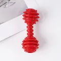 Juguete masticable para perros con forma de pesa roja de alta calidad para limpieza - Mancuerna de TPR Roja / 11cm