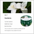 Candela profumata alla gardenia n. 7 in latta festiva verde con motivo pupazzo di neve - Fragranza alla Gardenia di Natale / Natale Senza Scatola