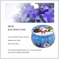 Candela profumata natalizia in latta con fragranza Blue Wind Chime e design Babbo Natale - Fragranza alla Campanula Blu di Natale / Natale Senza Scatola