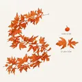 175 cm kunstmatige herfst esdoornblad slinger met pompoenen voor het Erntedankfest - Mini Pompoenen Oranje-Rood Herfst Stijl (Model L) / 175cm