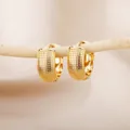 Luxury 18K gold plated hoop earrings featuring a granular textured surface design - Grain Relief Oval Hoop Style (G122309G-4)