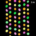 Vibrant fluorescent neon paper circle garland 3m length for birthday party glow decor - Standard Round Paper Garland / 3 Meters