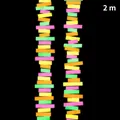 2m fluorescent neon paper garland string for glow theme party birthday decorations - Mixed Rectangle Paper Garland / 2m