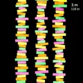 Neon color rectangular paper garland for birthday party decorations, 3 meters long - Mixed Rectangle Paper Garland / 3 Meters