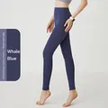 Pantaloni da yoga senza cuciture a vita alta blu balena, perfetti per fitness e corsa - Blu Balena