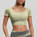Slim fit color-block yoga short sleeve top with built-in pads for women's fitness - S / Tops / Cardamom Green