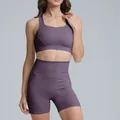 Professional two-piece quick-dry yoga set with sports bra and high-waisted shorts in purple - S / Top And Bottom / Bra + Shorts / Amethyst