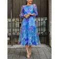 Detailed view of blue floral mesh dress with puffy sleeves in outdoor setting - XS / Top And Bottom / Blue