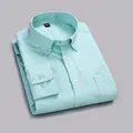 Chemise Oxford homme en coton à manches longues, vert pomme - Vert glacé