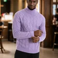 Pull à col roulé violet torsadé pour homme, idéal pour la mode d'automne et d'hiver - S / Hauts / Violet