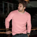 Classic pink crew neck raglan sleeve knit sweater for men, casual autumn style - Pink