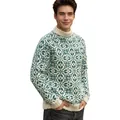 Pull en maille jacquard vert et blanc de style nordique vintage pour hommes, coupe décontractée - Vert