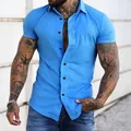 Camicia da uomo premium slim fit a maniche corte in vivace colore blu elettrico - Blu zaffiro