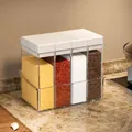 4-compartment seasoning box set in transparent white for kitchen spice storage - 4 Grids / Clear White