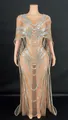 Detail view of a nude mesh evening gown with silver sequins and cape design. - S / Top And Bottom / Silver