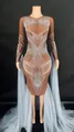 Close-up of brown mesh stage gown with white rhinestone patterns and blue tulle draping - S / Dark Brown