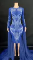 Royal blue stage performance dress with white rhinestone patterns and mesh sleeves - Blue