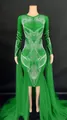 Elegant green stage performance dress with white rhinestone patterns and long sheer train - Verdant
