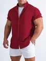 Casual summer short sleeve textured shirt for men in deep red, professional SKU view. - S / Tops / Red