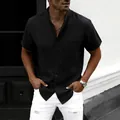 Camisa de hombre de algodón y lino negra de manga corta con cuello mao - M / Tops / Negro