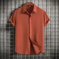 High-quality detail of men's summer short sleeve shirt with textured fabric and button-down style - Tan