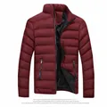 Men's stylish burgundy puffer jacket with stand collar for winter warmth - Burgundy