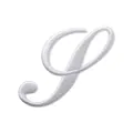 Écusson brodé blanc lettre P à repasser pour réparation de vêtements DIY de 5,86cm - Lettre S